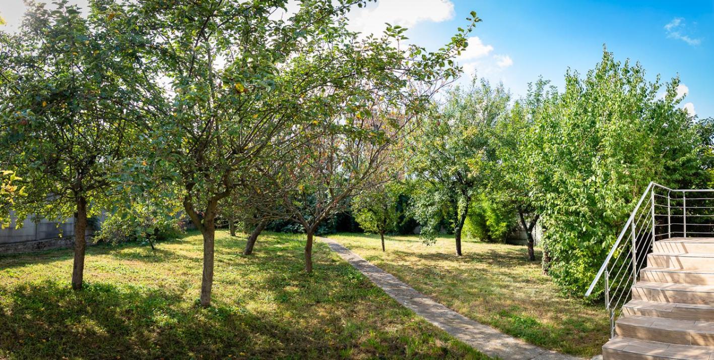 Residence Artemis Paris Orly Aeroport Вільнев-ле-Руа Екстер'єр фото
